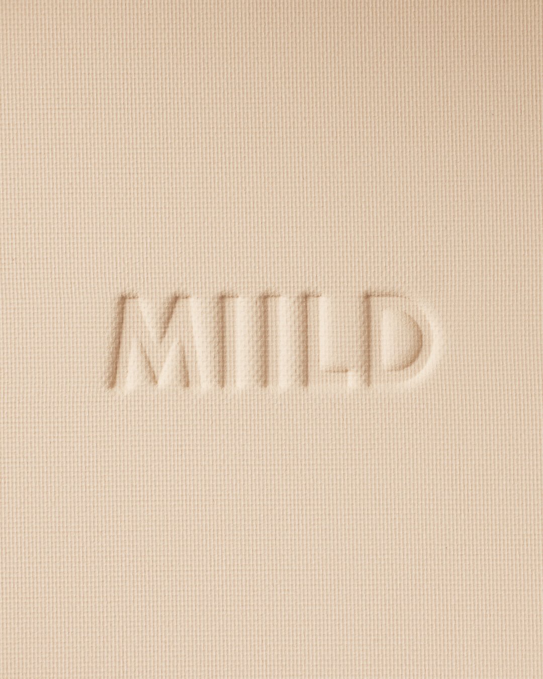 Skin Light Natural Pressed Powder 01 Wind