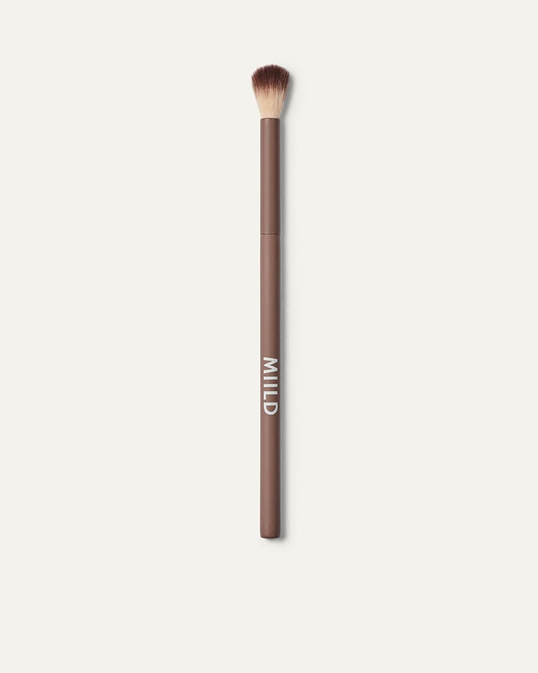 Soft Focus Blender Brush